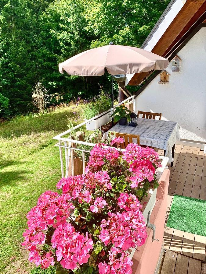 Studio Hase Saig Exterior photo