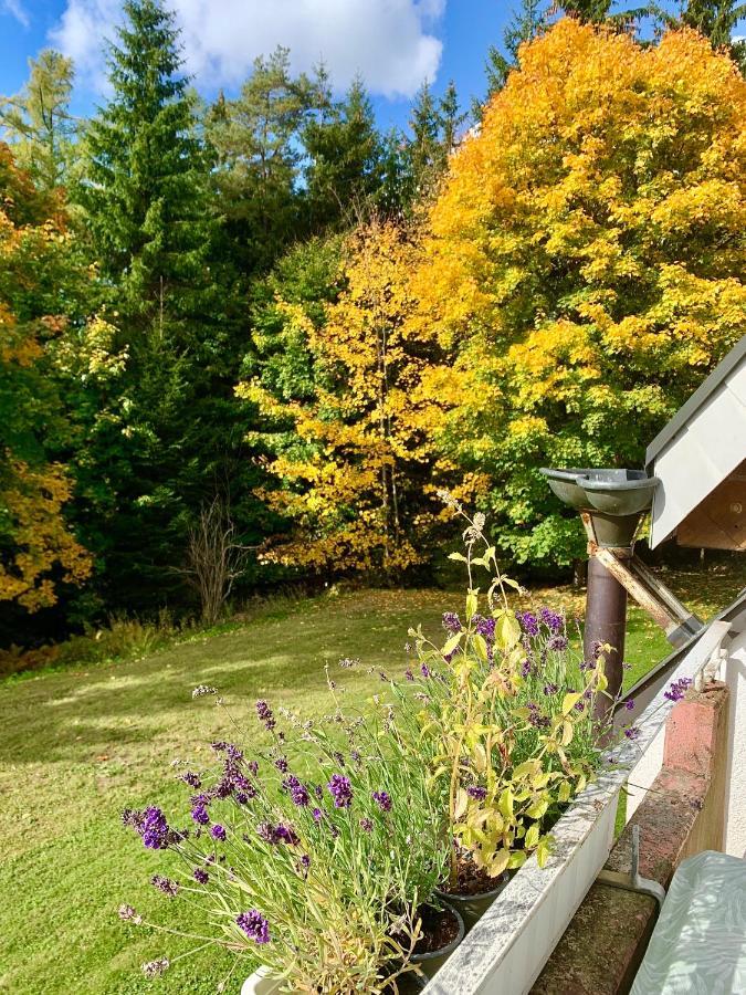 Studio Hase Saig Exterior photo